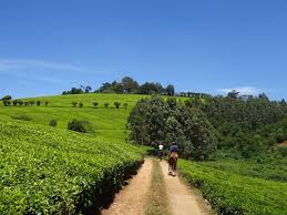 Kenyan Land
